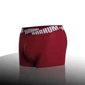 Men's New fashion panties bamboo boxer underwear men custom underpants men brief boxers cotton shortsfor men