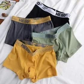 OEM Custom Logo Cotton fabric Mid-Rise Modal men's boxers Briefs Underwear Panties