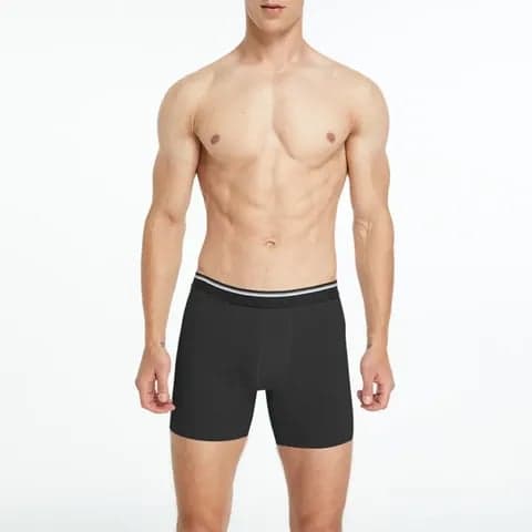 Boxer Underwear men's briefs Seamless Men Panty Men's Underwear